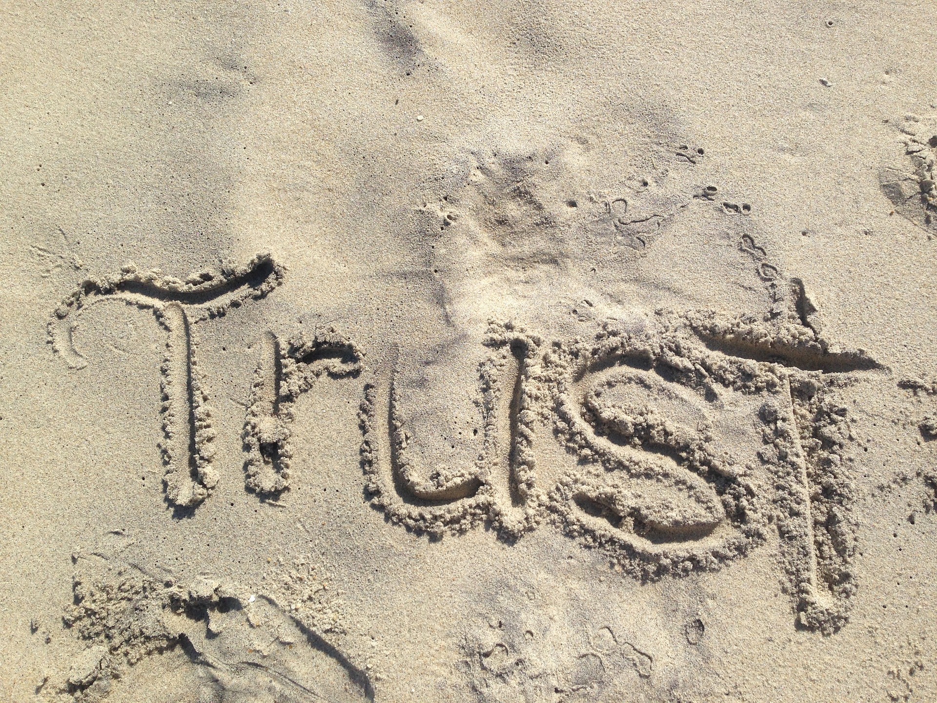 trust trauma survivor mental health